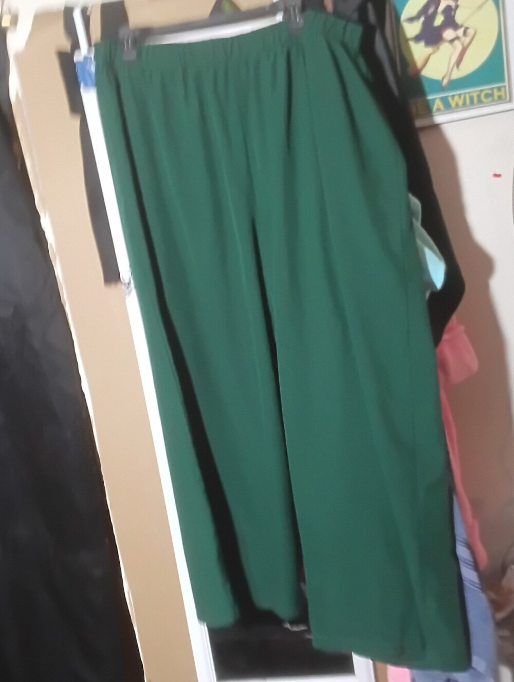 SHEIN Curve 3XL Dark Green Elastic-Waist Palazzo Pants